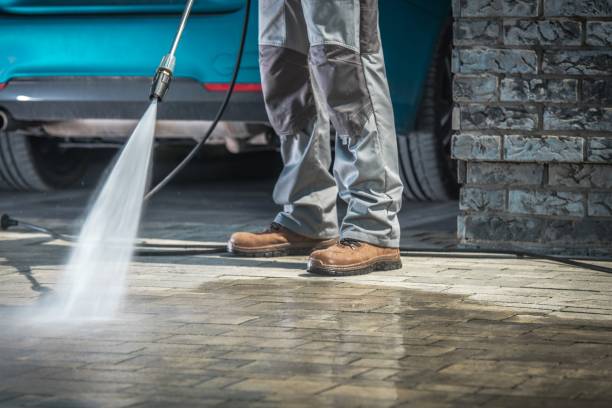 Best Dumpster Area Cleaning  in San Marcos, TX